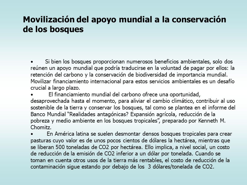 Movilización del apoyo mundial a la conservación de los bosques