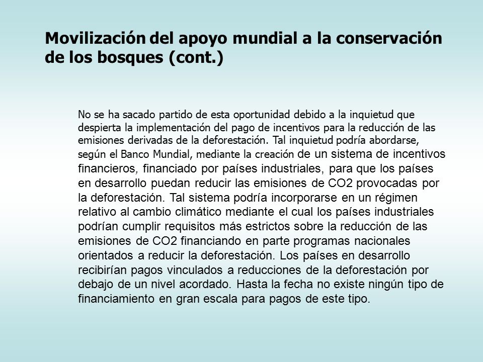 Movilización del apoyo mundial a la conservación de los bosques (cont