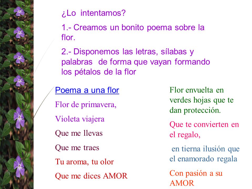 ¿Lo intentamos 1.- Creamos un bonito poema sobre la flor.