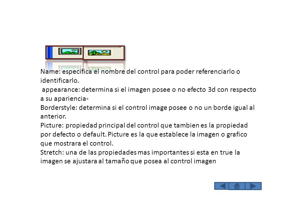 PICTURE E PICTURE Name: especifica el nombre del control para poder referenciarlo o identificarlo.