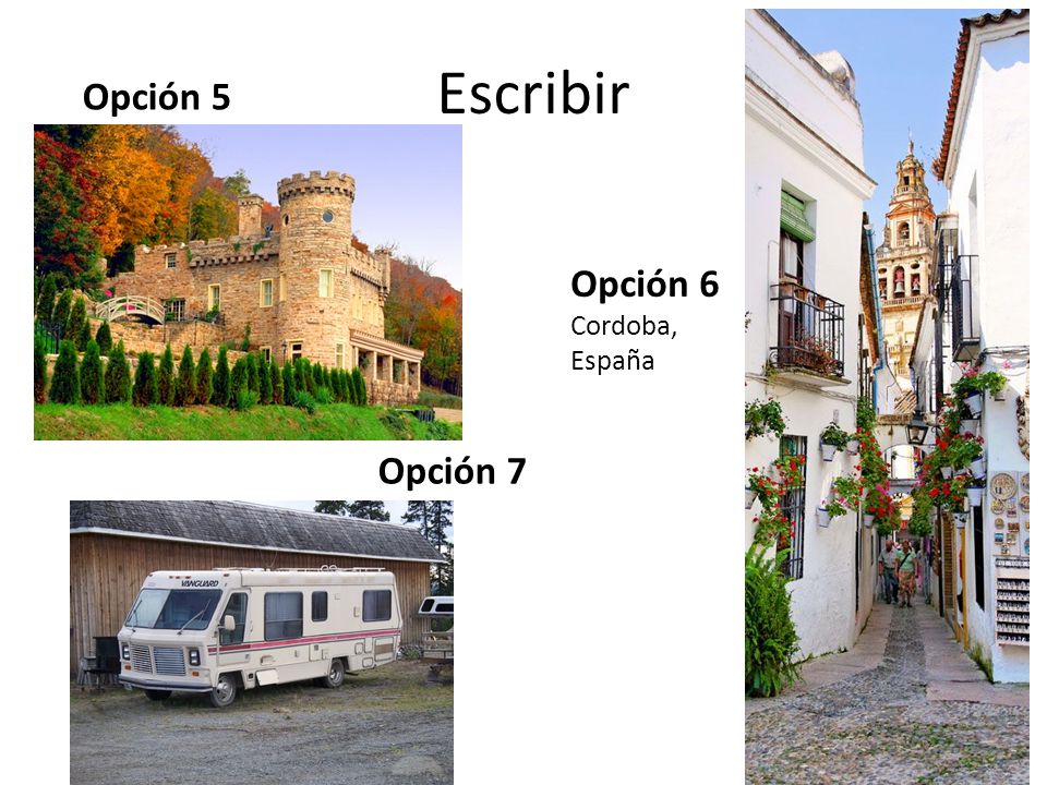 Escribir Opción 5 Opción 6 Cordoba, España Opción 7
