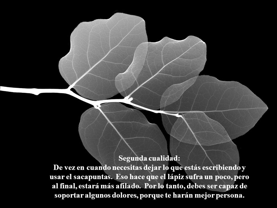 Segunda cualidad: De vez en cuando necesitas dejar lo que estás escribiendo y usar el sacapuntas. Eso hace que el lápiz sufra un poco, pero al final, estará más afilado. Por lo tanto, debes ser capaz de soportar algunos dolores, porque te harán mejor persona.