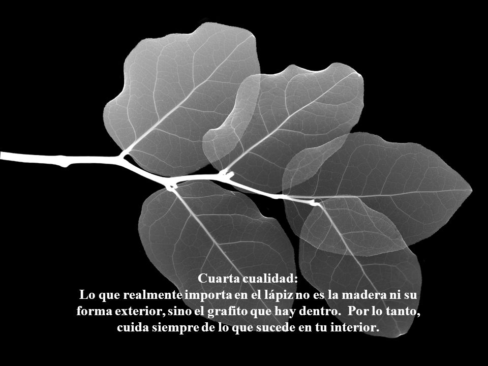 Cuarta cualidad: Lo que realmente importa en el lápiz no es la madera ni su forma exterior, sino el grafito que hay dentro. Por lo tanto, cuida siempre de lo que sucede en tu interior.