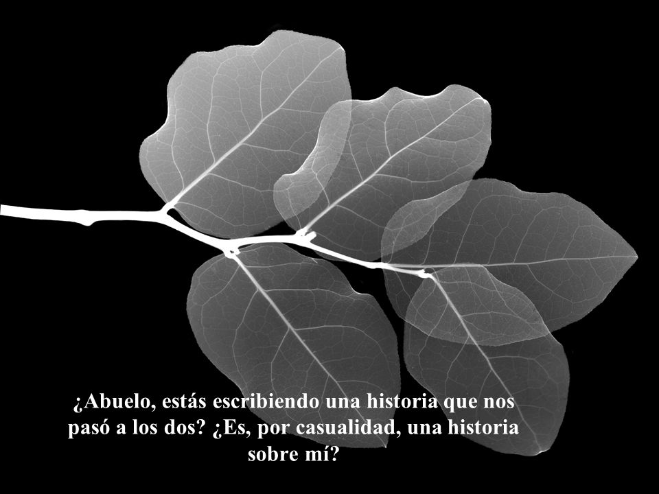 ¿Abuelo, estás escribiendo una historia que nos pasó a los dos