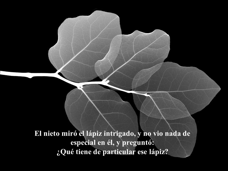 El nieto miró el lápiz intrigado, y no vio nada de especial en él, y preguntó: ¿Qué tiene de particular ese lápiz