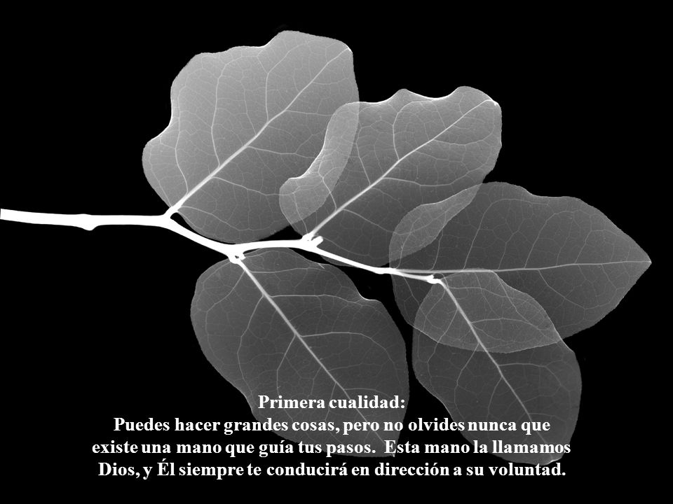 Primera cualidad: Puedes hacer grandes cosas, pero no olvides nunca que existe una mano que guía tus pasos. Esta mano la llamamos Dios, y Él siempre te conducirá en dirección a su voluntad.