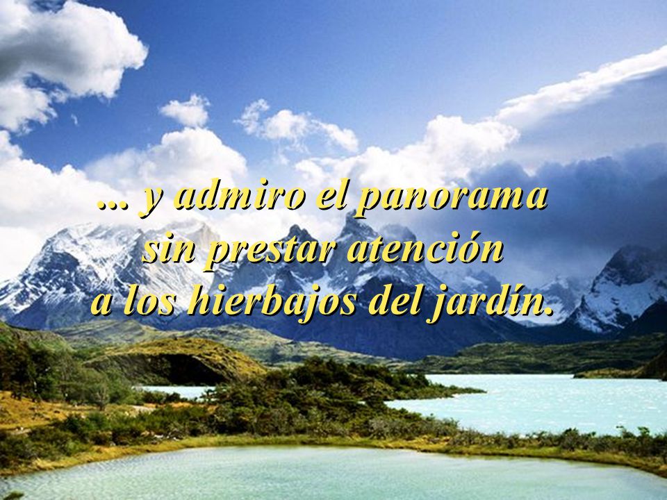... y admiro el panorama sin prestar atención a los hierbajos del jardín.