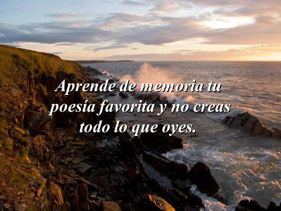 Aprende de memoria tu poesía favorita y no creas todo lo que oyes.