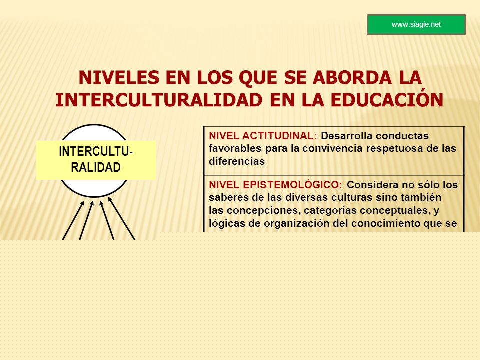 NIVELES EN LOS QUE SE ABORDA LA INTERCULTURALIDAD EN LA EDUCACIÓN