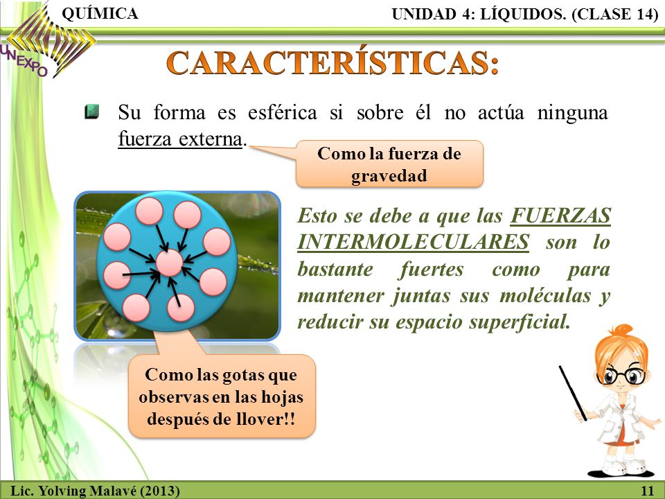 QUÍMICA UNIDAD 4: LÍQUIDOS. (CLASE 14) CARACTERÍSTICAS: Su forma es esférica si sobre él no actúa ninguna fuerza externa.