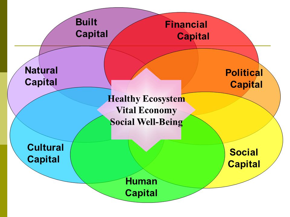 Built Capital Financial Capital. Natural Capital. Political Capital. Healthy Ecosystem. Vital Economy.
