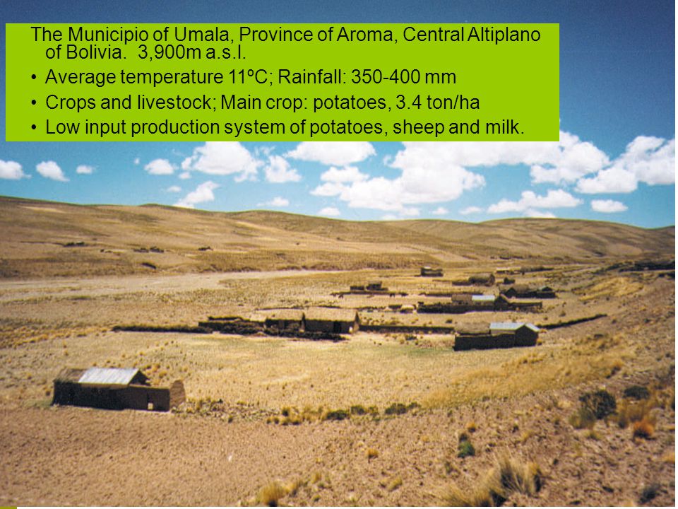 The Municipio of Umala, Province of Aroma, Central Altiplano of Bolivia. 3,900m a.s.l.