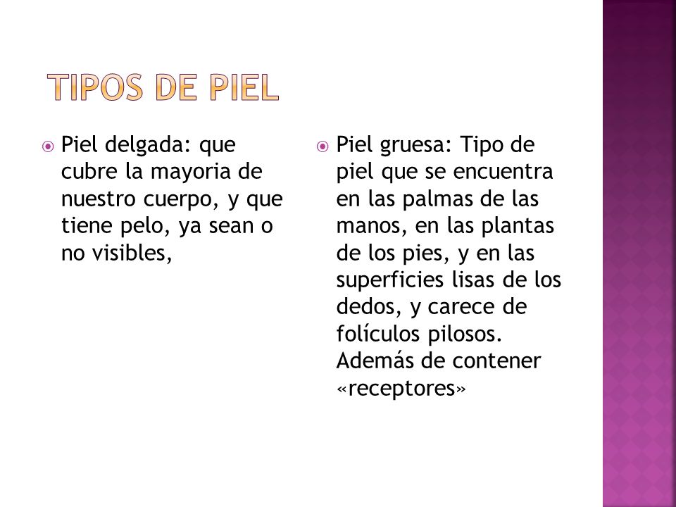 TIPOS DE PIEL Piel delgada: que cubre la mayoria de nuestro cuerpo, y que tiene pelo, ya sean o no visibles,