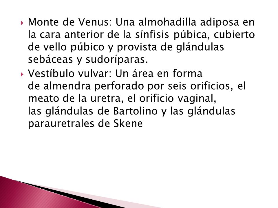 Monte de Venus: Una almohadilla adiposa en la cara anterior de la sínfisis púbica, cubierto de vello púbico y provista de glándulas sebáceas y sudoríparas.