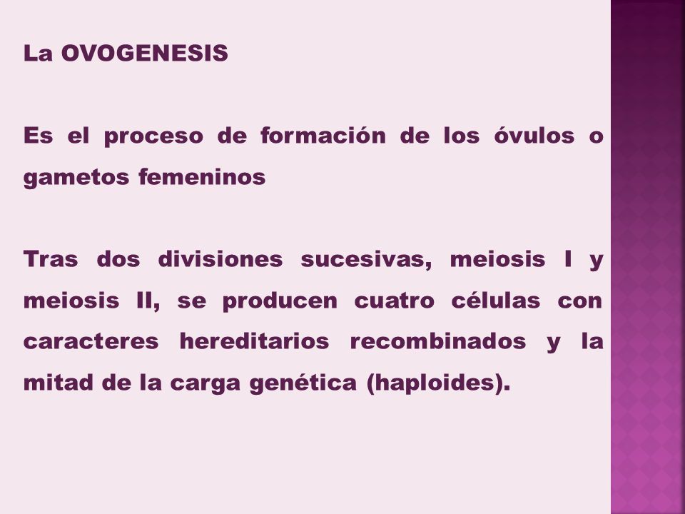 La OVOGENESIS Es el proceso de formación de los óvulos o gametos femeninos.