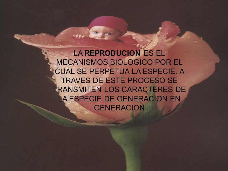 LA REPRODUCION ES EL MECANISMOS BIOLOGICO POR EL CUAL SE PERPETUA LA ESPECIE.