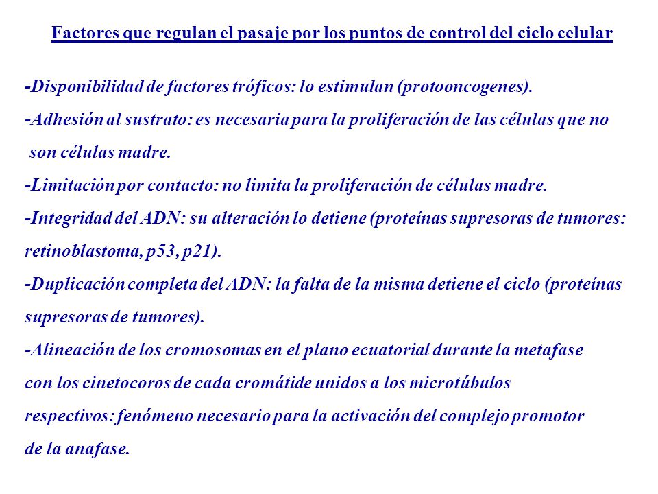Factores que regulan el pasaje por los puntos de control del ciclo celular