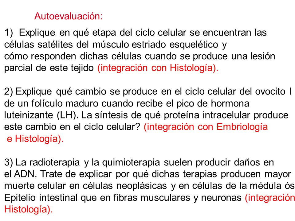 Autoevaluación: Explique en qué etapa del ciclo celular se encuentran las. células satélites del músculo estriado esquelético y.