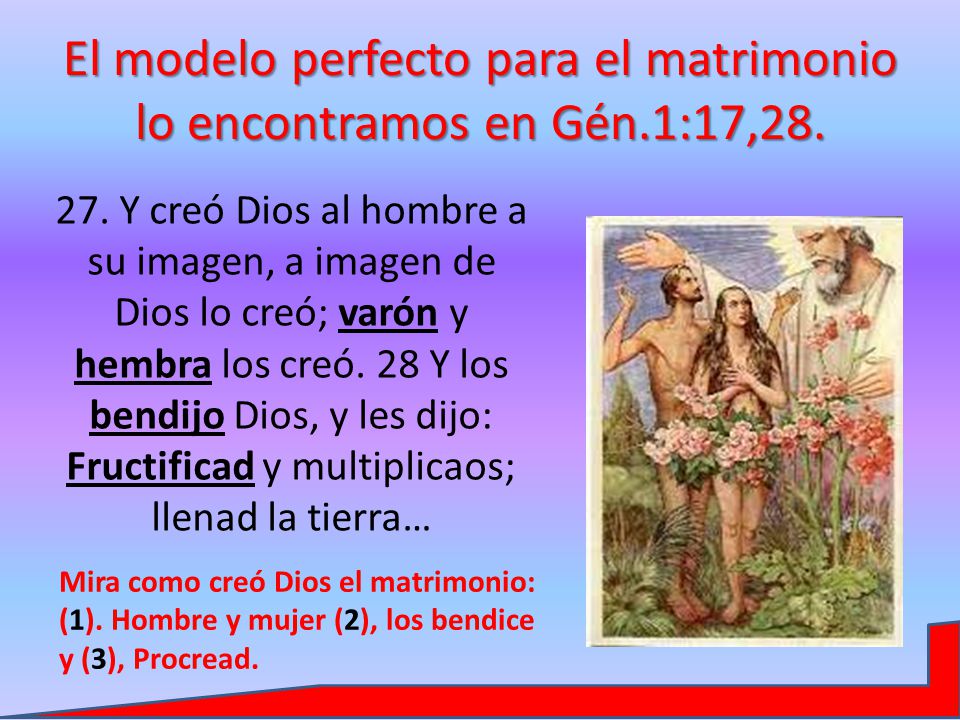 El modelo perfecto para el matrimonio lo encontramos en Gén.1:17,28.