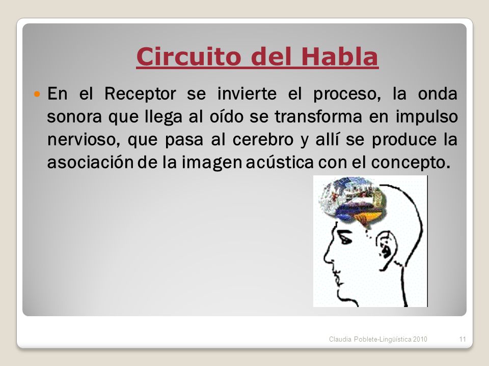 Circuito del Habla