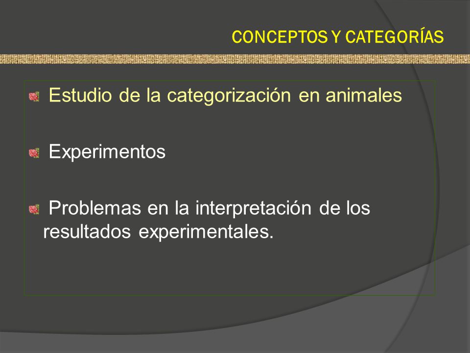 CONCEPTOS Y CATEGORÍAS