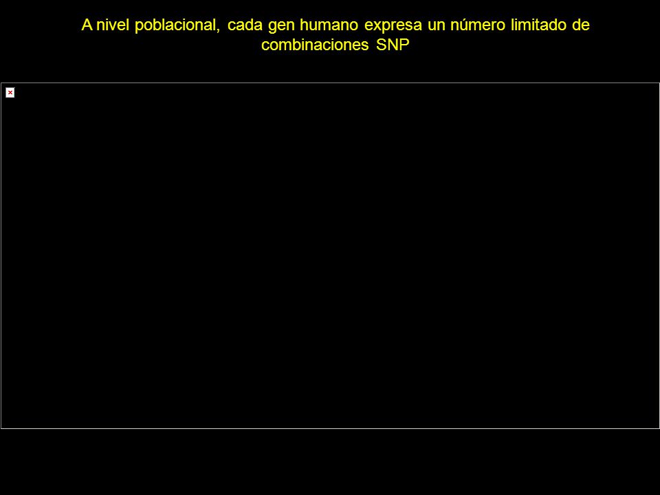 A nivel poblacional, cada gen humano expresa un número limitado de combinaciones SNP
