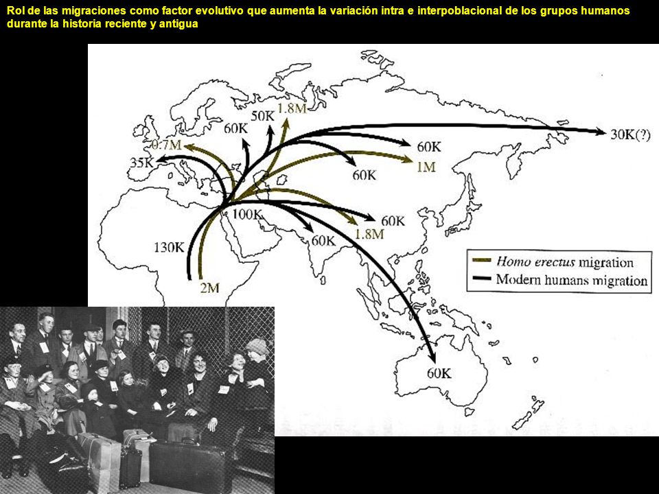 Rol de las migraciones como factor evolutivo que aumenta la variación intra e interpoblacional de los grupos humanos durante la historia reciente y antigua