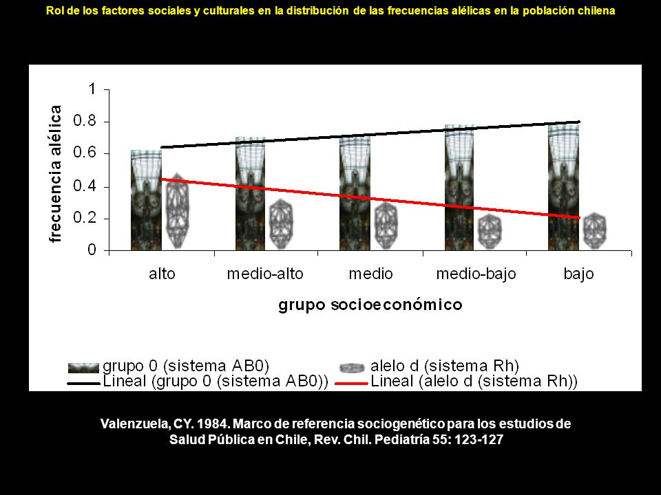 Rol de los factores sociales y culturales en la distribución de las frecuencias alélicas en la población chilena