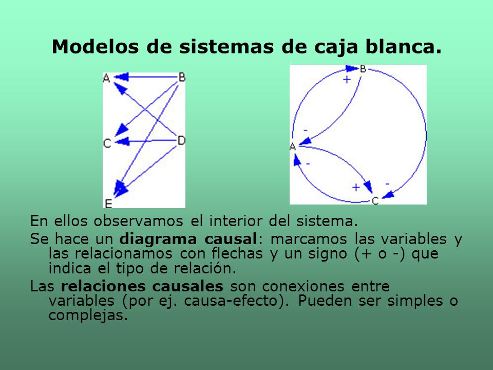 Modelos de sistemas de caja blanca.