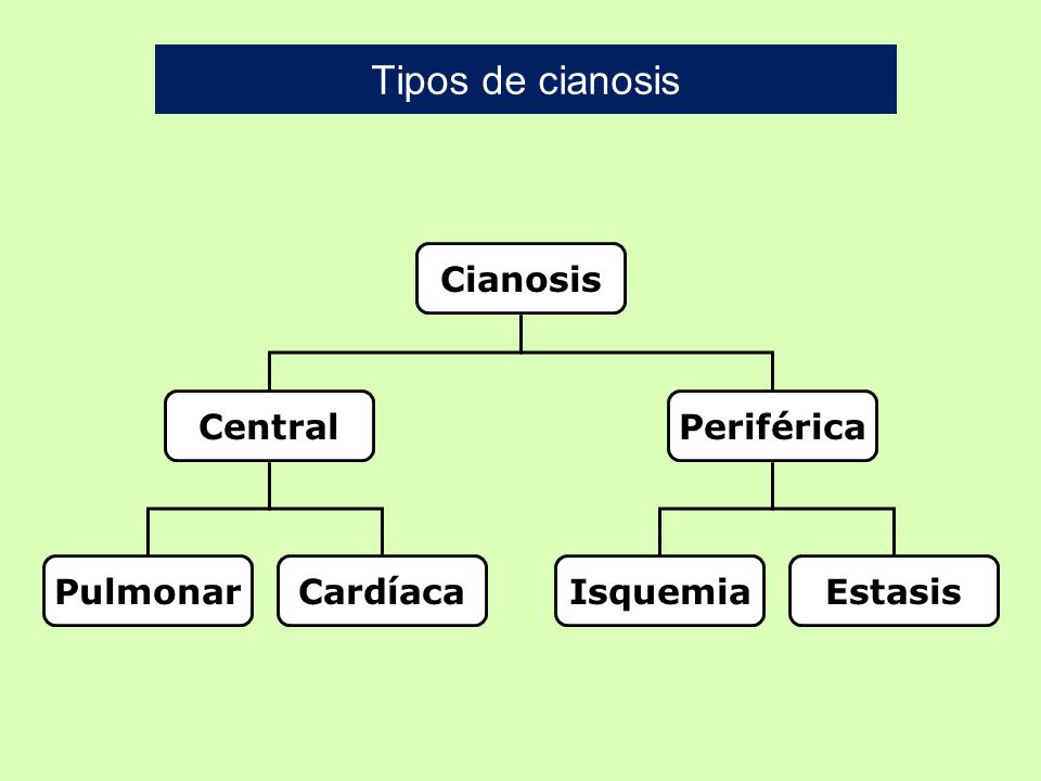 Tipos de cianosis Cianosis Central Periférica Pulmonar Cardíaca