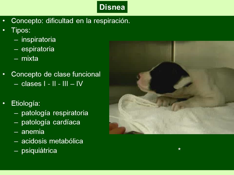 Disnea Concepto: dificultad en la respiración. Tipos: inspiratoria