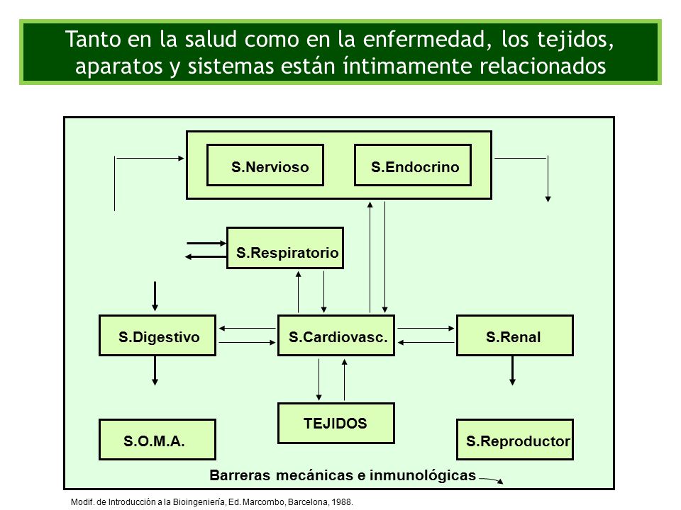 Tanto en la salud como en la enfermedad, los tejidos, aparatos y sistemas están íntimamente relacionados