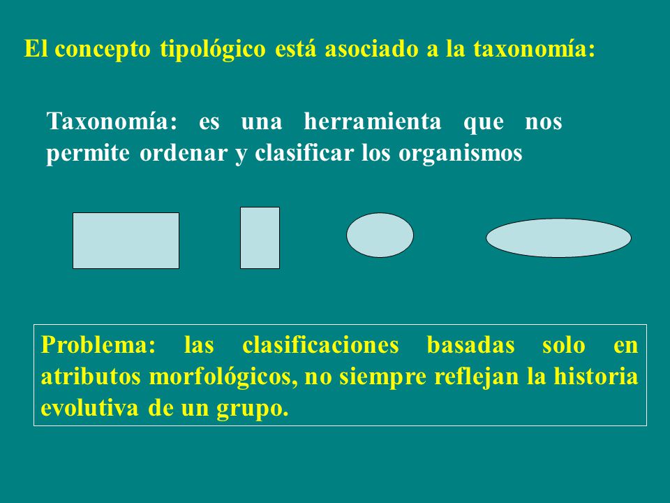 El concepto tipológico está asociado a la taxonomía: