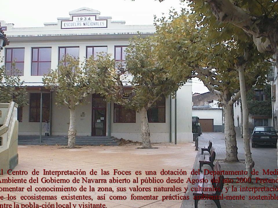 El Centro de Interpretación de las Foces es una dotación del Departamento de Medio Ambiente del Gobierno de Navarra abierto al público desde Agosto del año 2000.