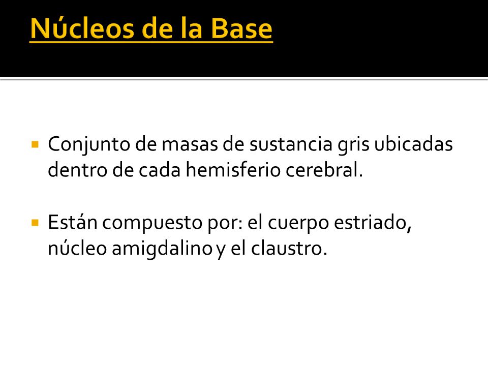 Núcleos de la Base Conjunto de masas de sustancia gris ubicadas dentro de cada hemisferio cerebral.