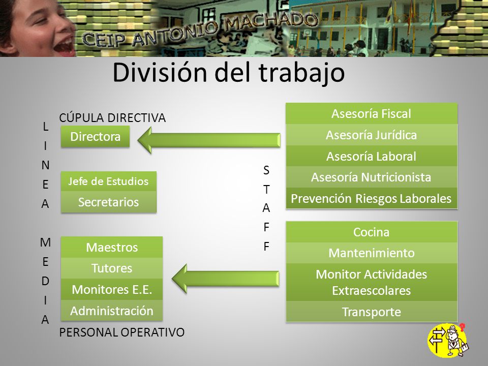 División del trabajo Asesoría Fiscal LINEA MEDIA Directora