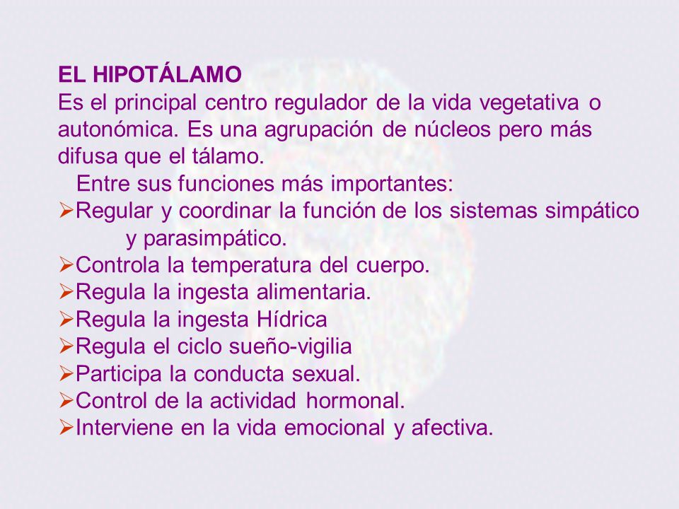 EL HIPOTÁLAMO Es el principal centro regulador de la vida vegetativa o autonómica. Es una agrupación de núcleos pero más difusa que el tálamo.