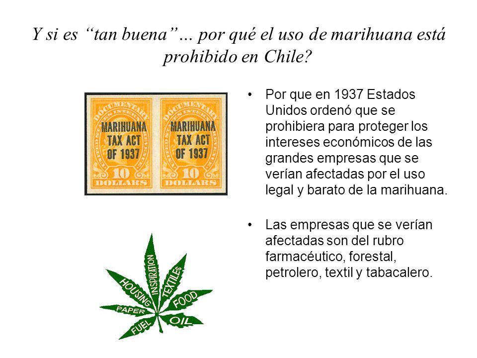 Y si es tan buena … por qué el uso de marihuana está prohibido en Chile