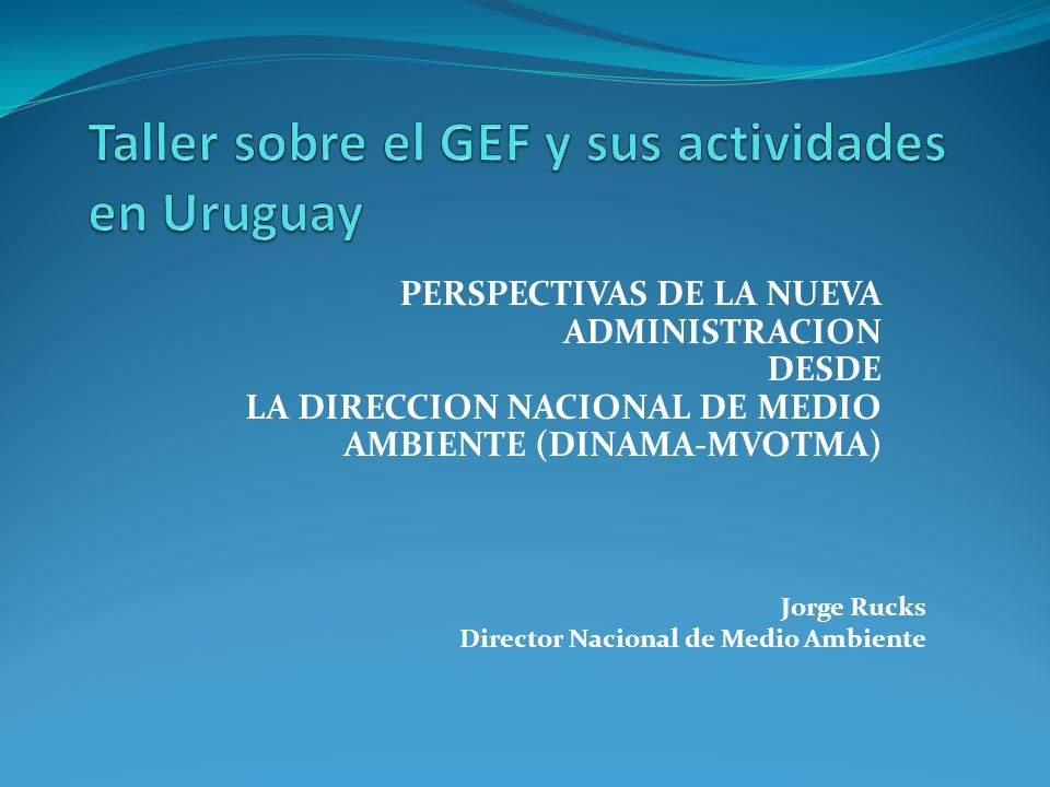 TALLER SOBRE EL FONDO PARA EL MEDIO AMBIENTE MUNDIALO (GEF) Y SUS ACTIVIDADES EN URUGUAY Taller sobre el GEF y sus actividades en Uruguay