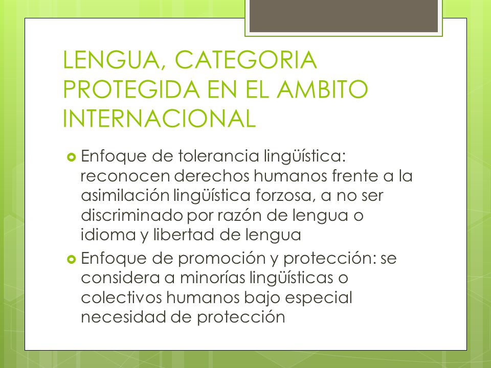 LENGUA, CATEGORIA PROTEGIDA EN EL AMBITO INTERNACIONAL