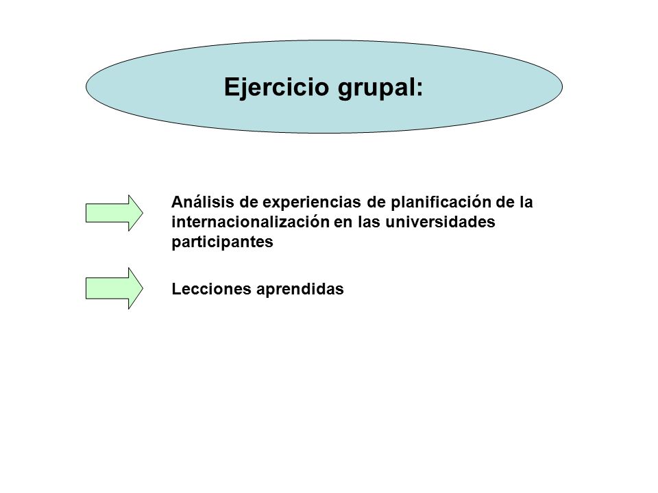 Ejercicio grupal: Análisis de experiencias de planificación de la internacionalización en las universidades participantes.