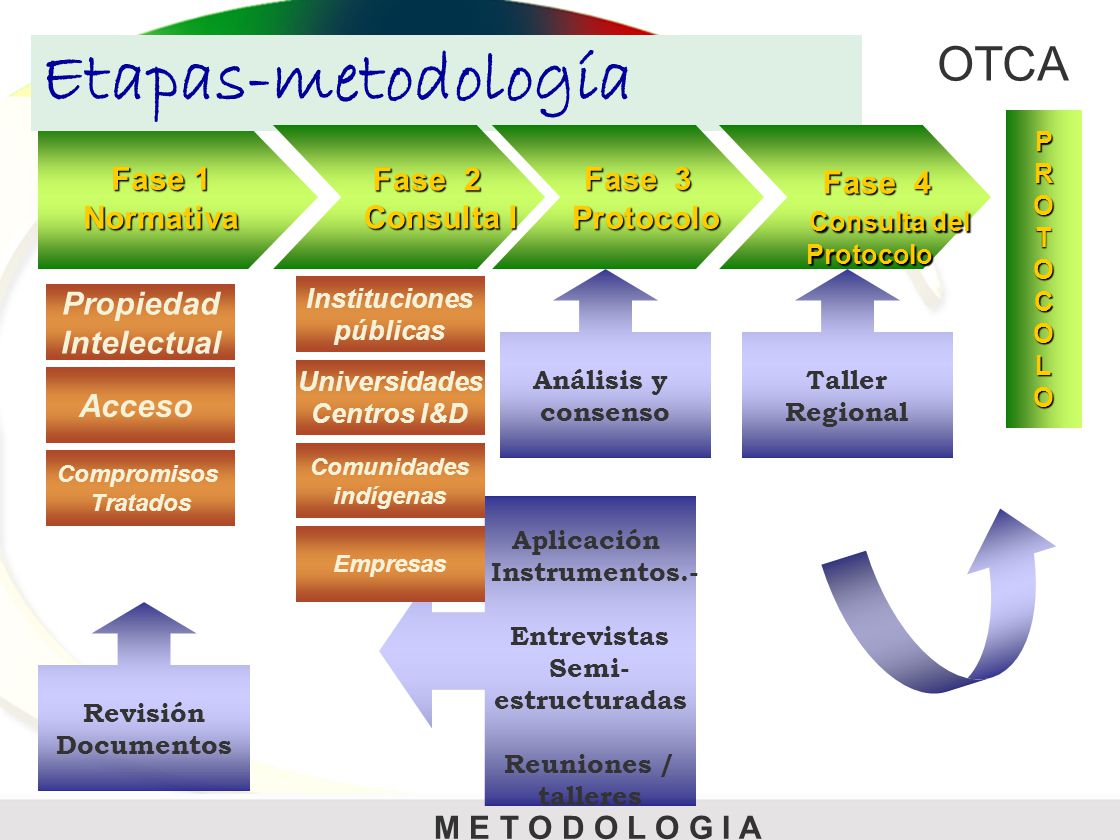 Etapas-metodología Fase 1 Normativa Fase 2 Consulta I Fase 3 Protocolo