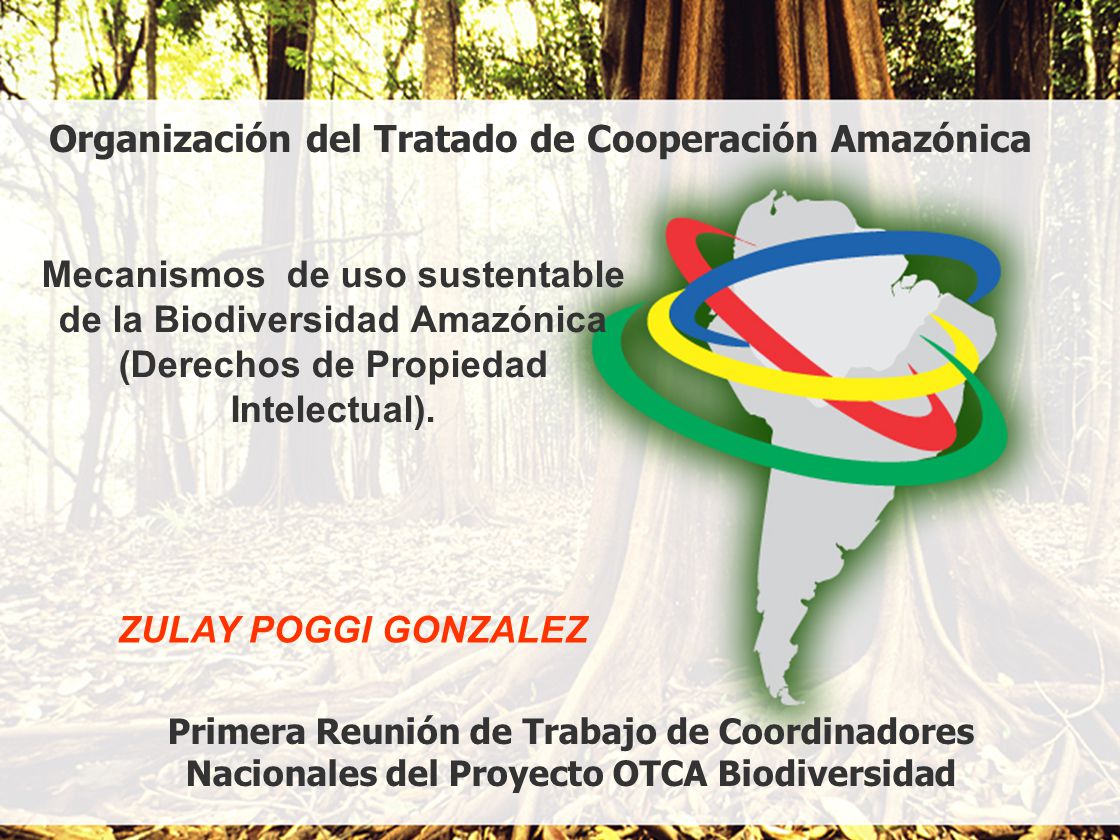 Organización del Tratado de Cooperación Amazónica