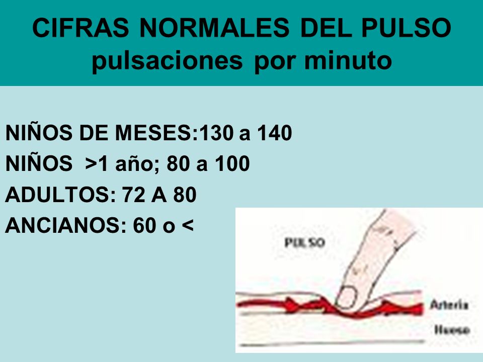 CIFRAS NORMALES DEL PULSO pulsaciones por minuto