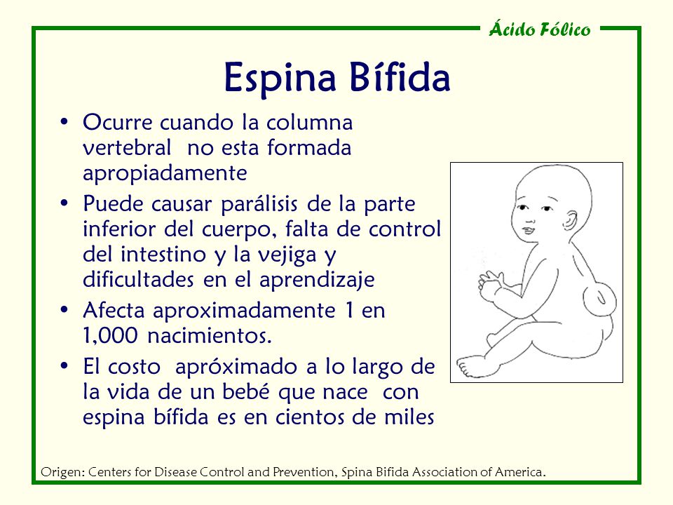 Espina Bífida Ocurre cuando la columna vertebral no esta formada apropiadamente.