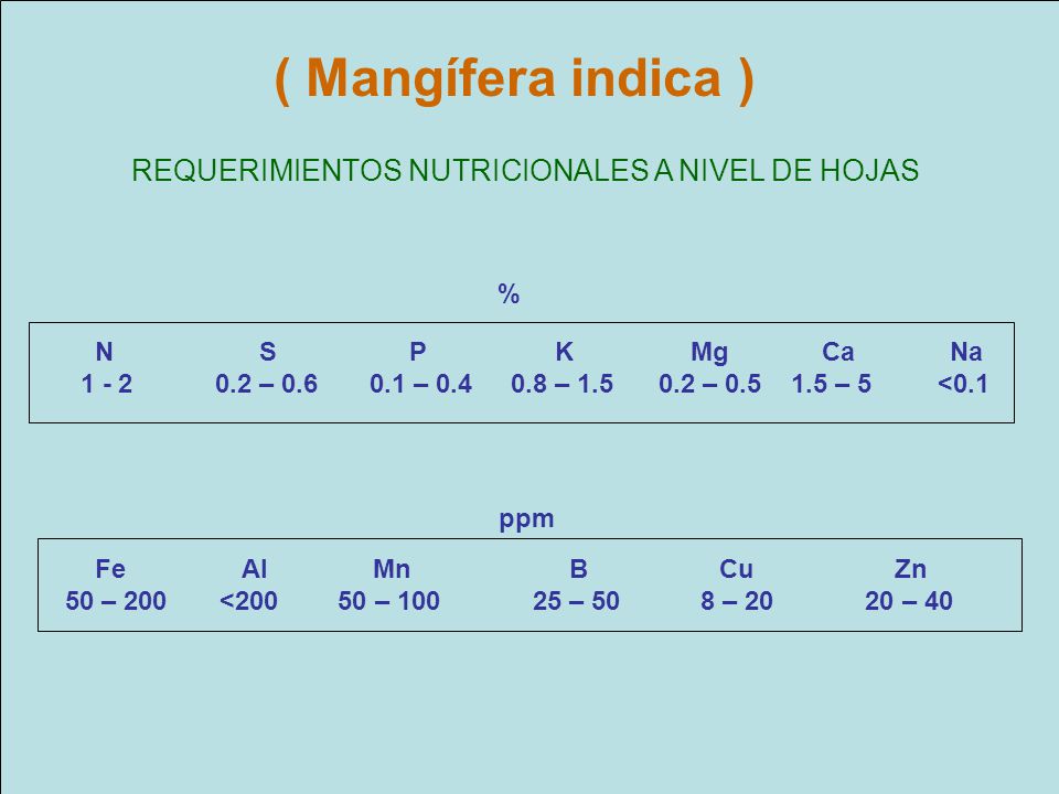 ( Mangífera indica ) REQUERIMIENTOS NUTRICIONALES A NIVEL DE HOJAS %