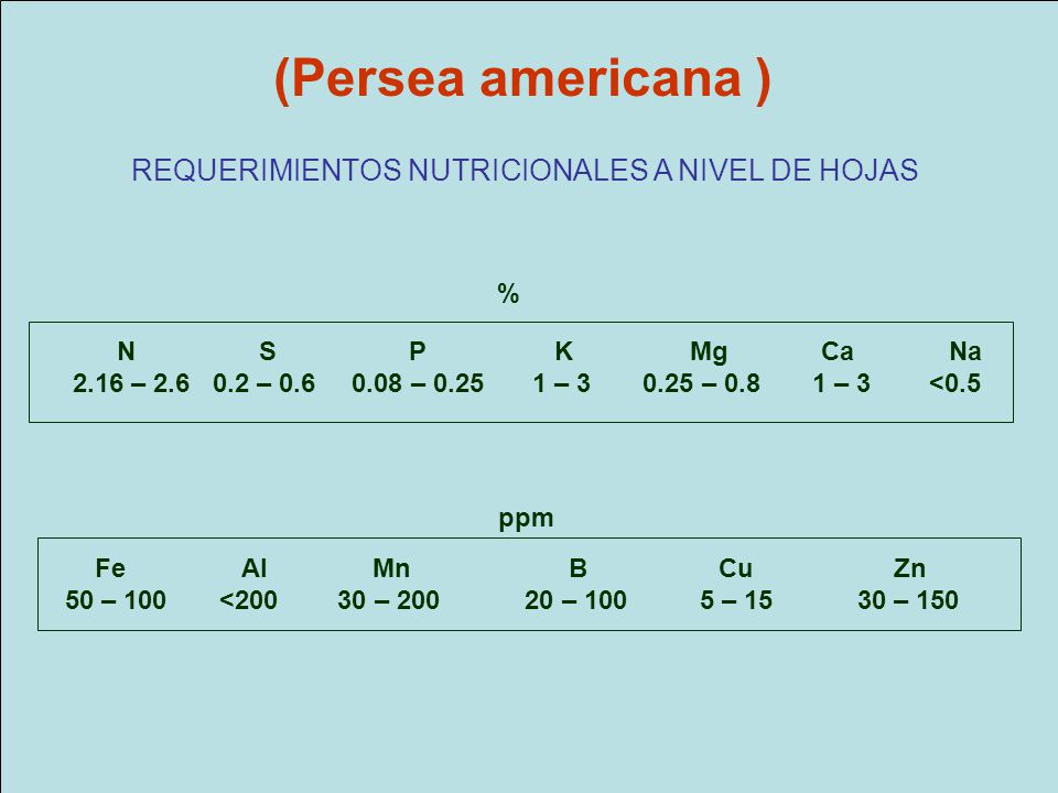 (Persea americana ) REQUERIMIENTOS NUTRICIONALES A NIVEL DE HOJAS %