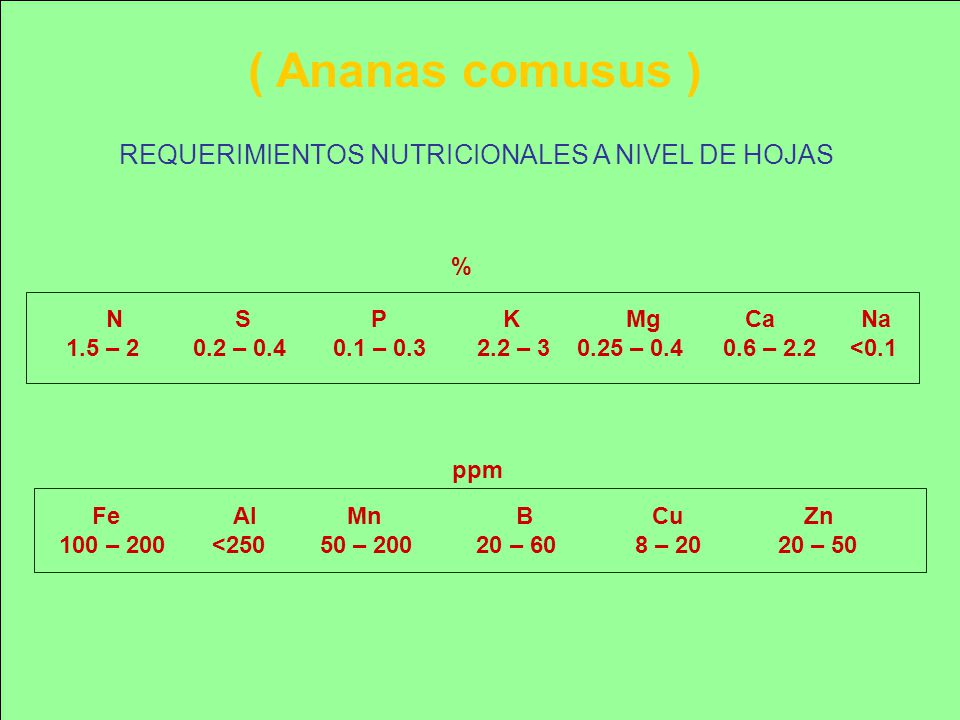 ( Ananas comusus ) REQUERIMIENTOS NUTRICIONALES A NIVEL DE HOJAS %