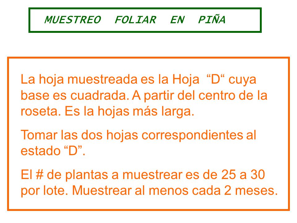 Tomar las dos hojas correspondientes al estado D .