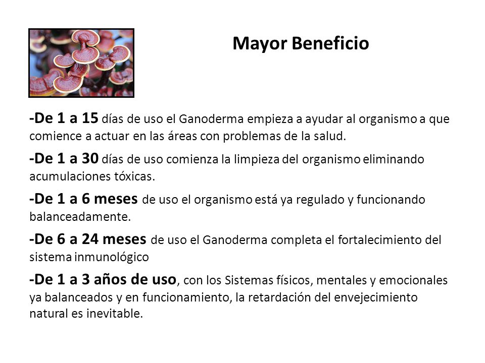 Mayor Beneficio -De 1 a 15 días de uso el Ganoderma empieza a ayudar al organismo a que comience a actuar en las áreas con problemas de la salud.